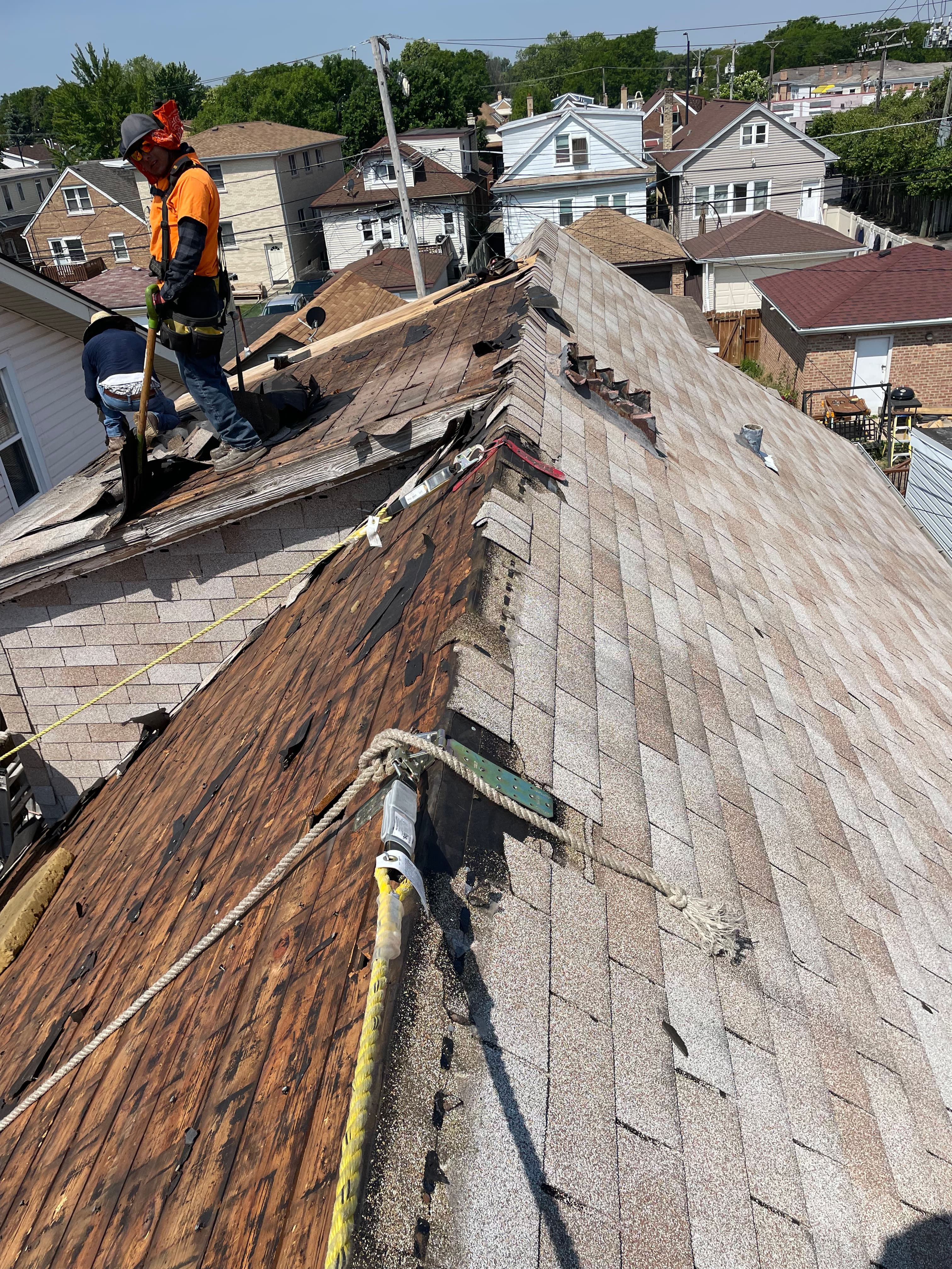 Crew removing old shingles from a steep Chicago roof, working in safety harnesses
